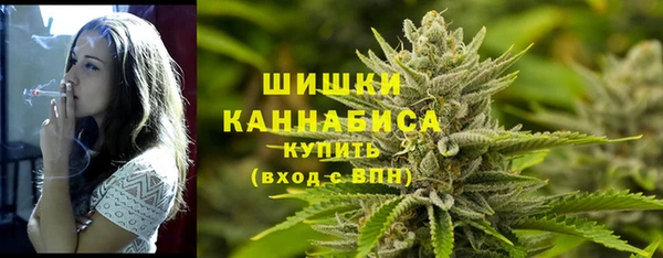 apvp Аркадак