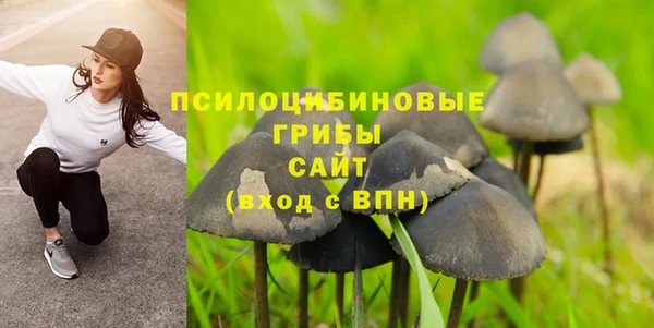 бутират Арсеньев