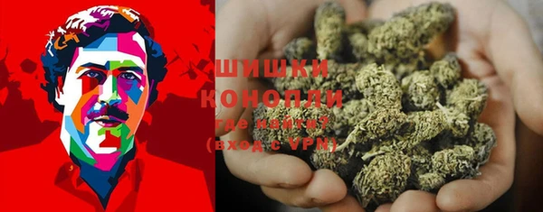 дурь Балахна