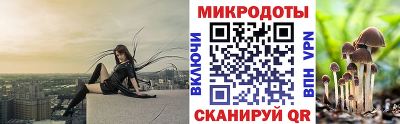 Купить закладки  Заречный  Псилоцибиновые грибы прущие грибы 